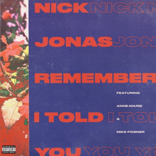 Nick Jonas / Anne-Marie / Mike Posner - Remember I Told You cover art