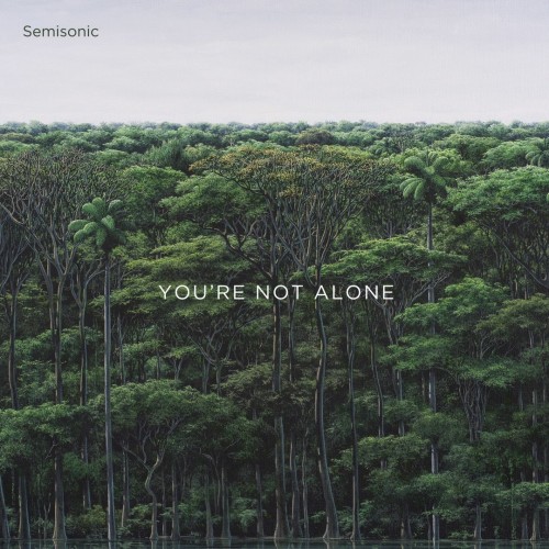 Semisonic - You're Not Alone cover art