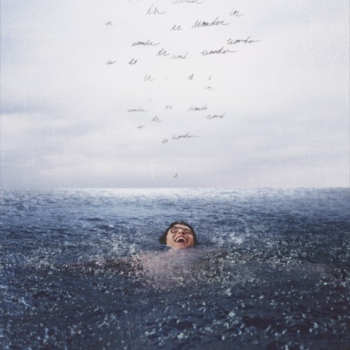 Shawn Mendes - Wonder cover art