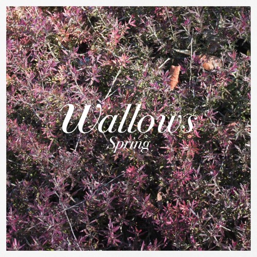 Wallows - Spring cover art