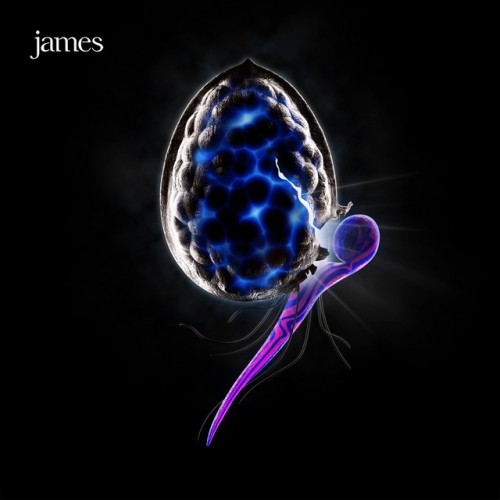 James - The Night Before cover art James - The Night Before cover art
