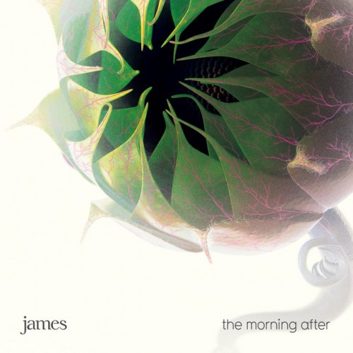 James - The Morning After cover art