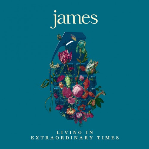 James - Living in Extraordinary Times cover art