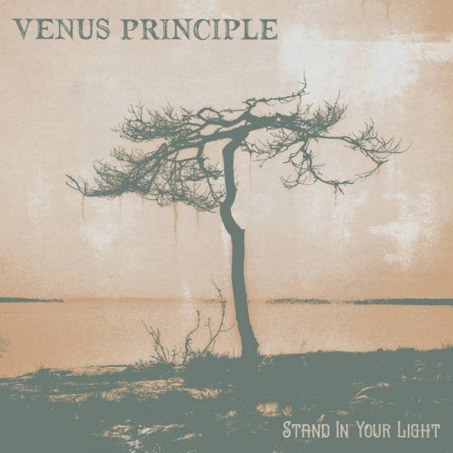 Venus Princple - Stand in Your Light cover art