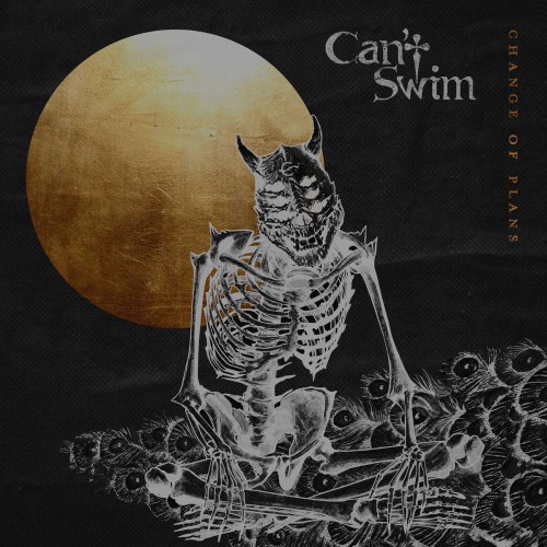 Can't Swim - Change of Plans cover art