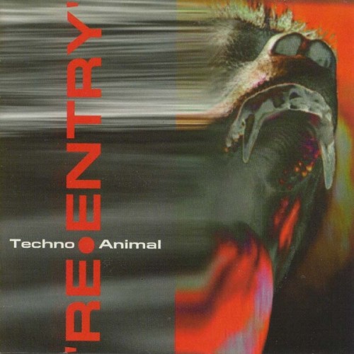 Techno Animal - Re-Entry cover art