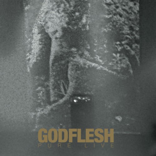 Godflesh - Pure : Live cover art