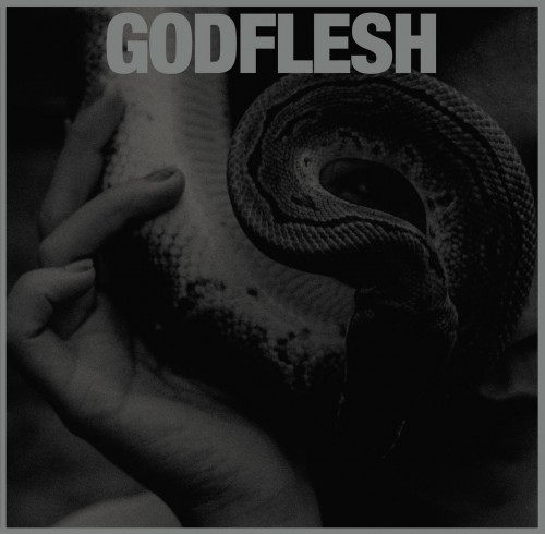 Godflesh - Purge cover art