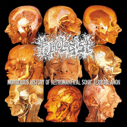 Pathologist - Morbidious History of Necromantical Sonic Terrorization cover art