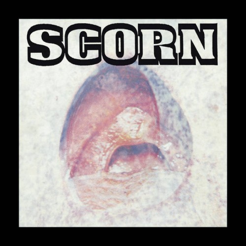 Scorn - Vae Solis cover art