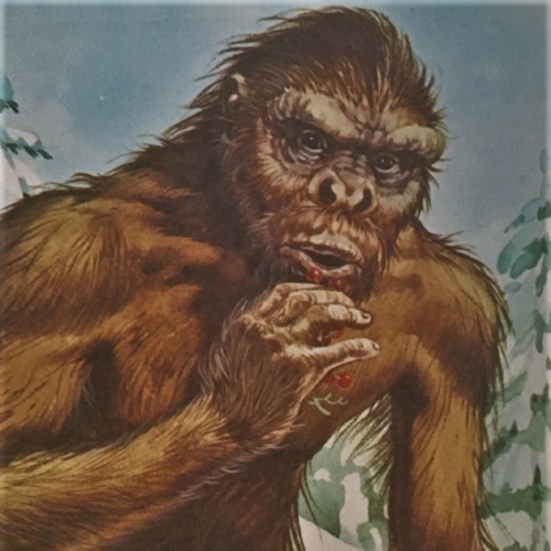 Turbo-Laser - Randy Sasquatch cover art Turbo-Laser - Randy Sasquatch cover art