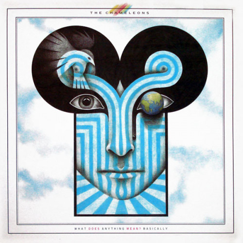 The Chameleons - What Does Anything Mean? Basically cover art The Chameleons - What Does Anything Mean? Basically cover art