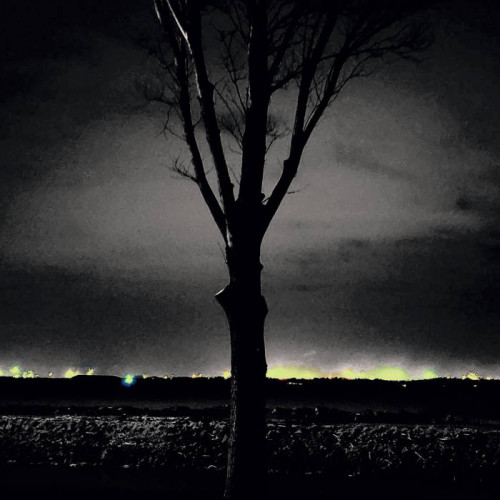 The Wounded - The Sky Is Ours cover art The Wounded - The Sky Is Ours cover art