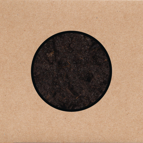 Swans - Birthing cover art Swans - Birthing cover art