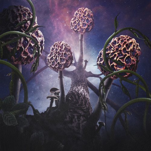 Blut aus Nord - Hallucinogen cover art Blut aus Nord - Hallucinogen cover art