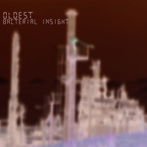 Oldest - Bacterial Insight cover art Oldest - Bacterial Insight cover art