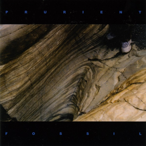Prurient - Fossil cover art Prurient - Fossil cover art
