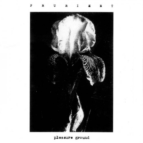 Prurient - Pleasure Ground cover art Prurient - Pleasure Ground cover art