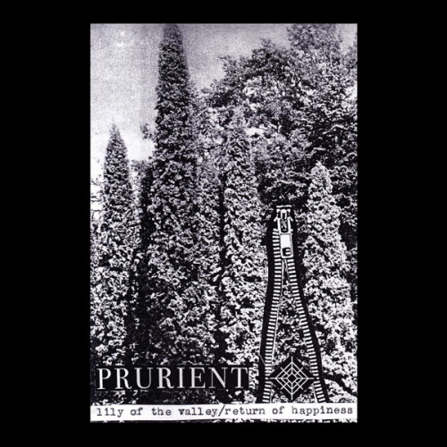 Prurient - Lily of the Valley / Return of Happiness cover art Prurient - Lily of the Valley / Return of Happiness cover art