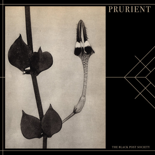 Prurient - The Black Post Society cover art Prurient - The Black Post Society cover art
