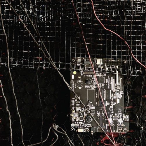 Merzbow / Prurient - Black Crows Cyborg cover art