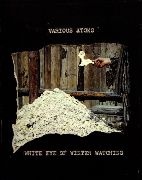 Various Artists - White Eye of Winter Watching cover art