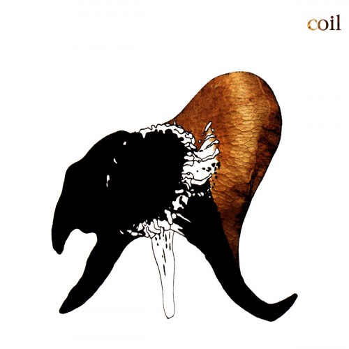 Coil - Black Antlers cover art Coil - Black Antlers cover art