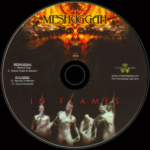 Meshuggah / In Flames - Nothing / Reroute to Remain cover art