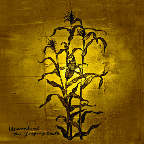 Wovenhand - The Laughing Stalk cover art