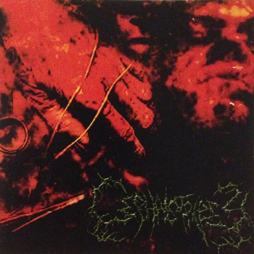 Cephalotripsy - Demo 2006 cover art