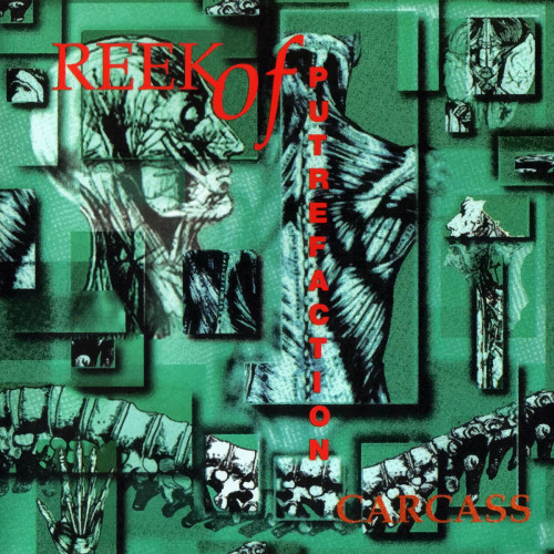 Carcass - Reek of Putrefaction cover art