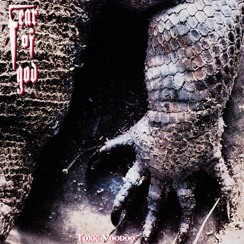 Fear of God - Toxic Voodoo cover art