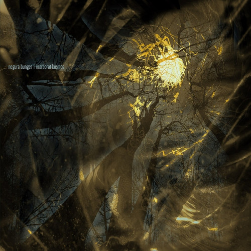 Negură Bunget - Inarborat kosmos cover art