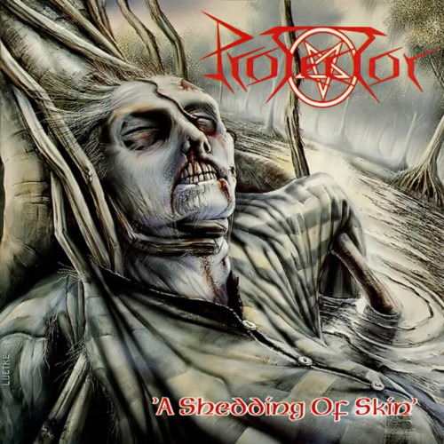 Protector - A Shedding of Skin cover art
