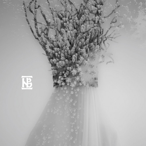 Negură Bunget - Zău cover art