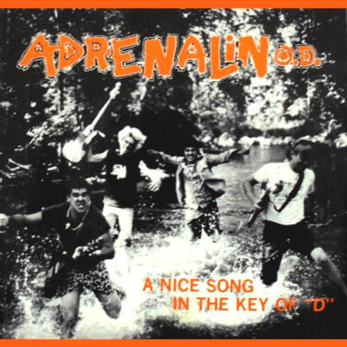 Adrenalin O.D. - A Nice Song in the Key of D cover art