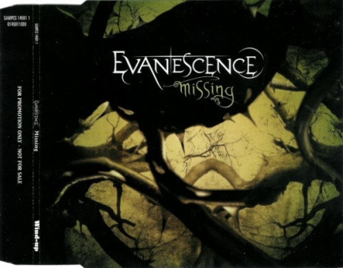 Evanescence - Missing cover art