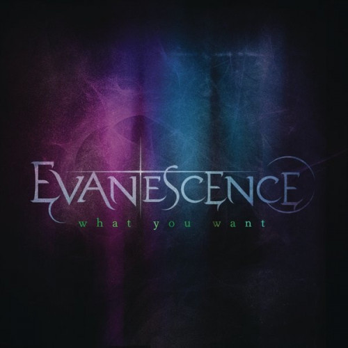 Evanescence - What You Want cover art