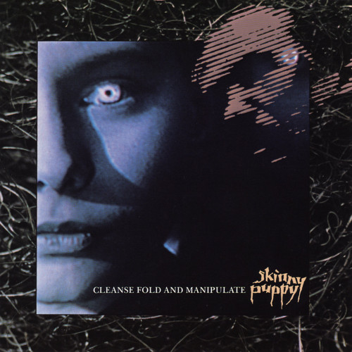 Skinny Puppy - Cleanse Fold and Manipulate cover art