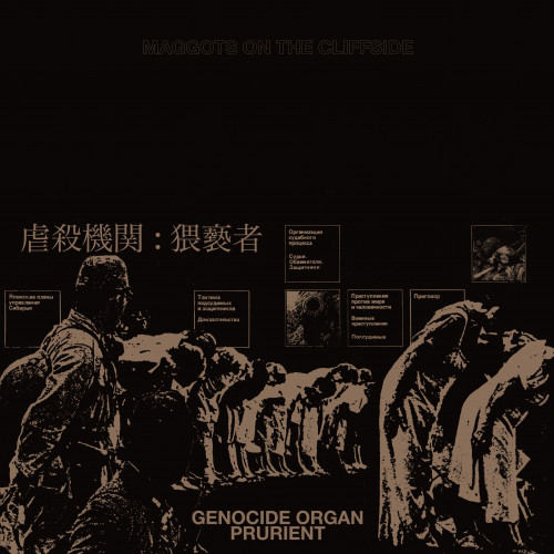 Genocide Organ / Prurient - Maggots on the Cliffside cover art