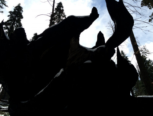 Xiu Xiu Twin Peaks LIVE Ambient Shroud - Twin Peaks Ambien cover art