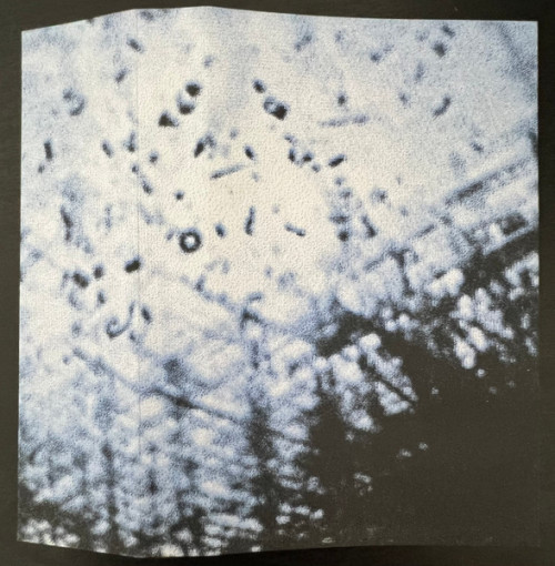 Xiu Xiu - Two Real Nuts cover art