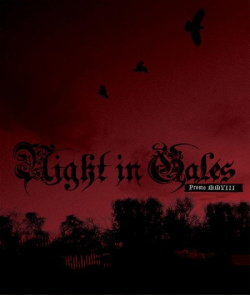 Night in Gales - Promo MMVIII cover art