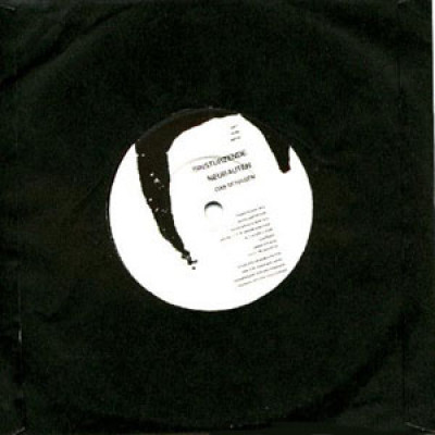 Einstürzende Neubauten - Das Schaben cover art Einstürzende Neubauten - Das Schaben cover art