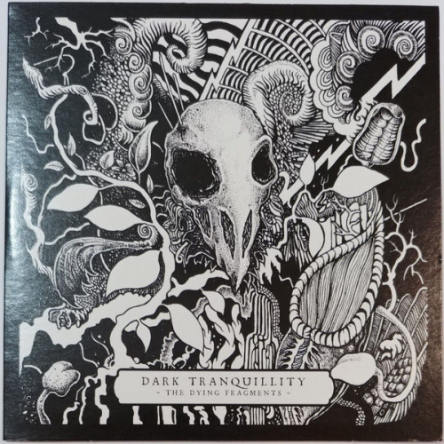 Dark Tranquillity - The Dying Fragments cover art