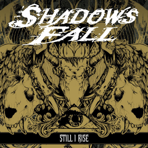 Shadows Fall - Still I Rise cover art