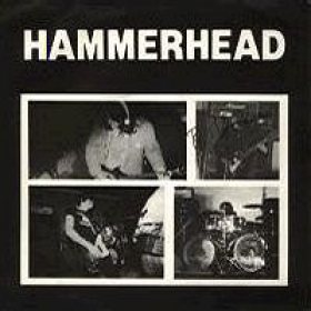 Hammerhead photo