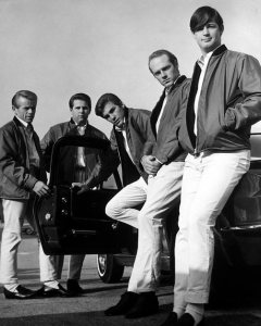 The Beach Boys photo