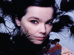 Björk photo