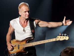 Sting photo